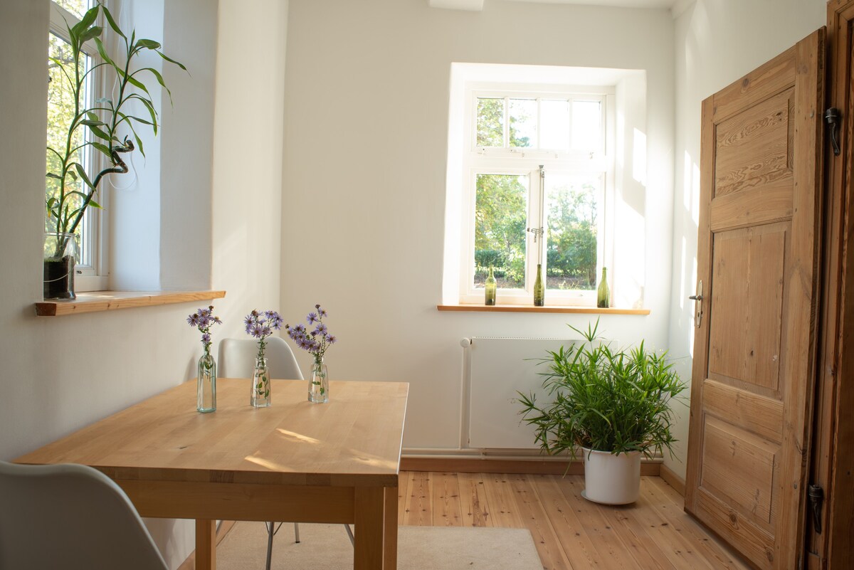 MintDZ im Traumhaus an der Elbe inmitten der NATUR