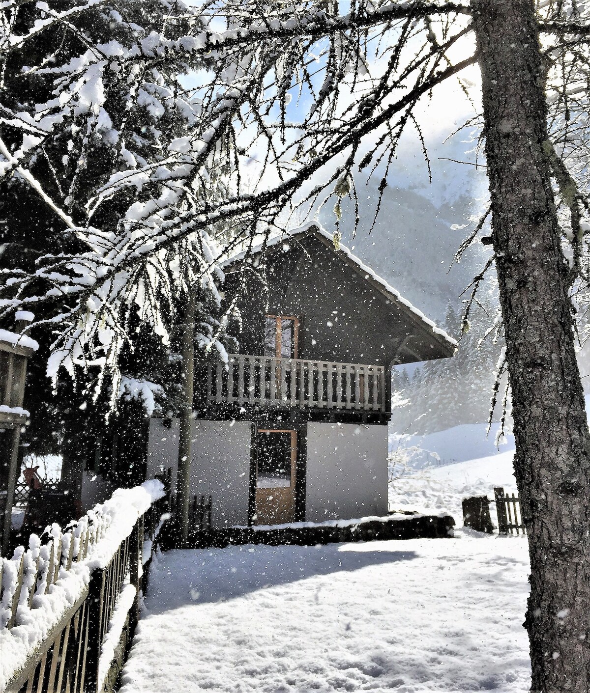 Adorable 2 bedroom Tiny House on the Ski Piste!