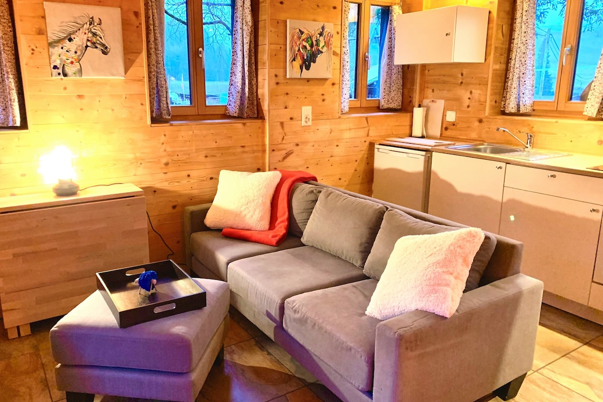 Adorable 2 bedroom Tiny House on the Ski Piste!