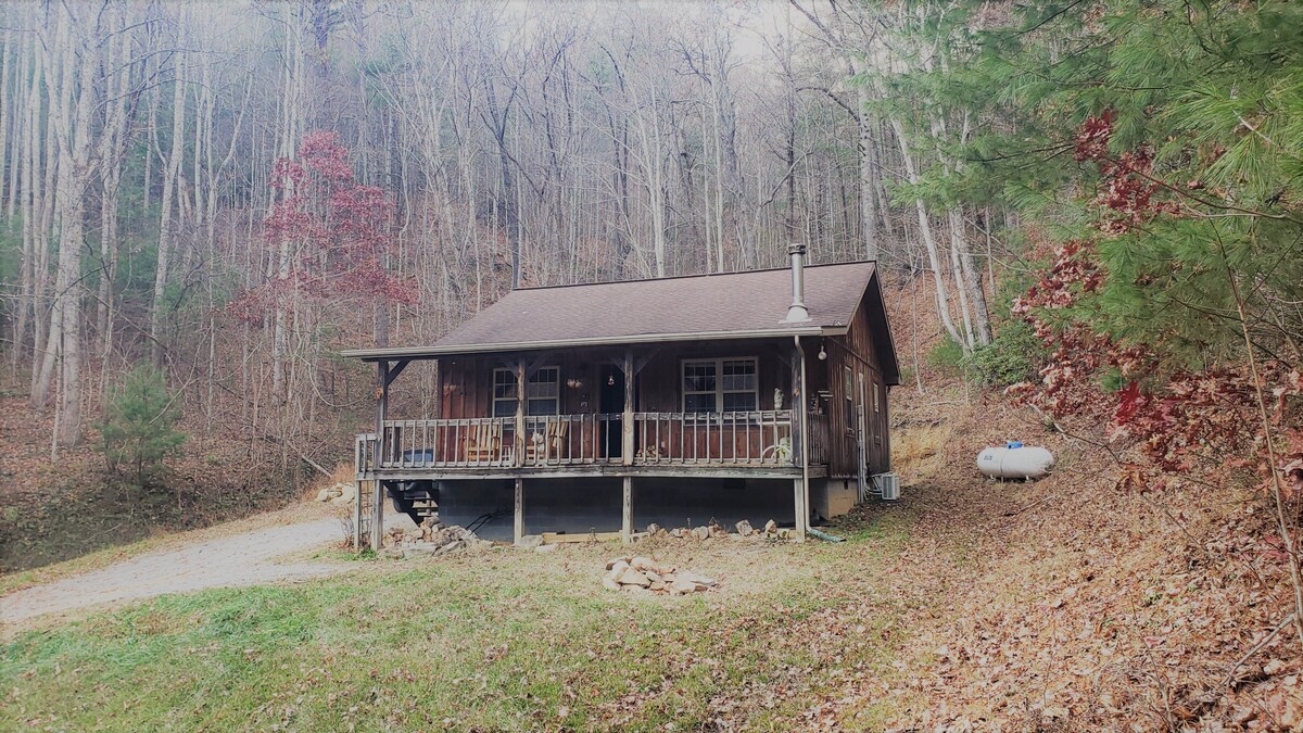 Bare Run: A Secluded Cabin in the Mountains