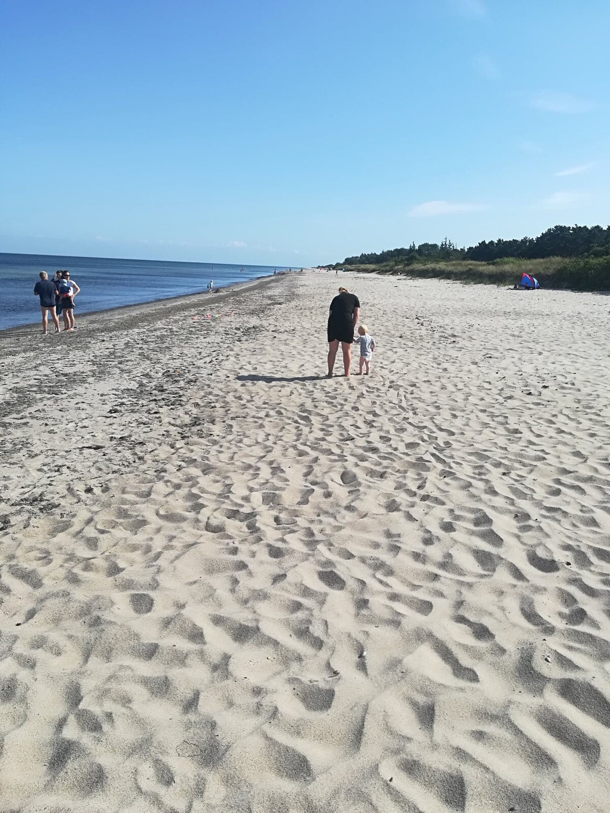 Ældre Charmerende sommerhus tæt på skov og strand