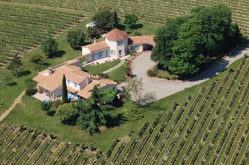 Gîte chaleureux avec piscine au milieu du vignoble