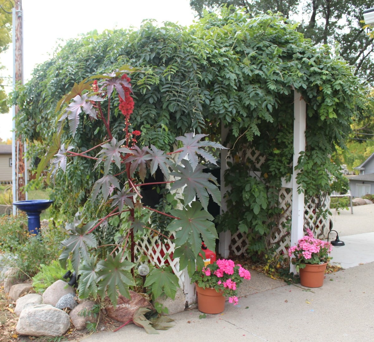 Ma 's Backyard Treehouse