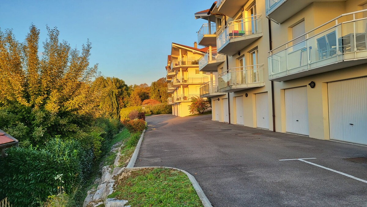 Très joli appartement rénové face au lac Leman