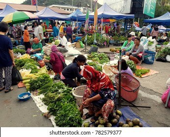 河滨客栈，带大自然和河流