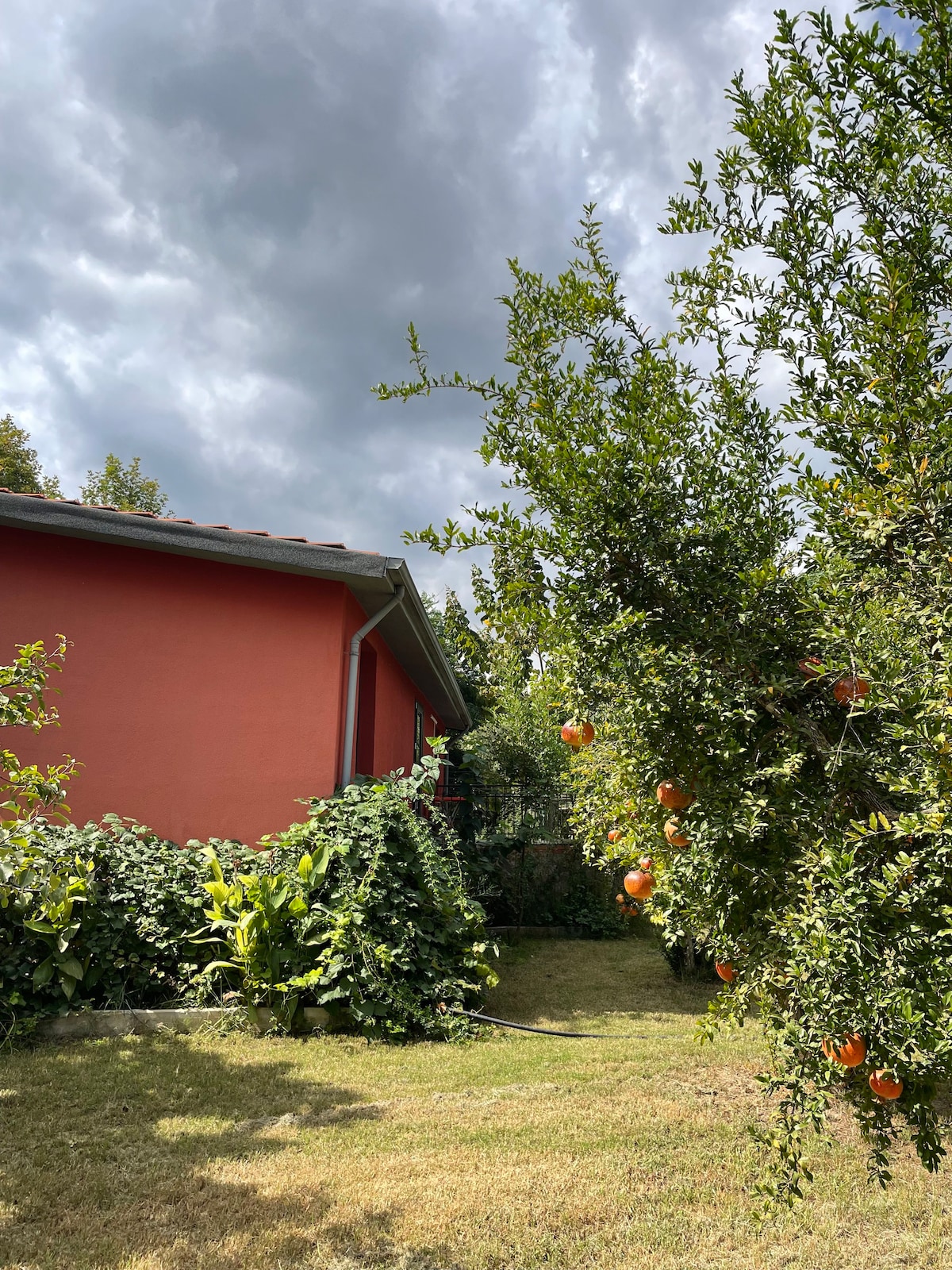 Kır evi, nar ve meyve ağaçları arasında