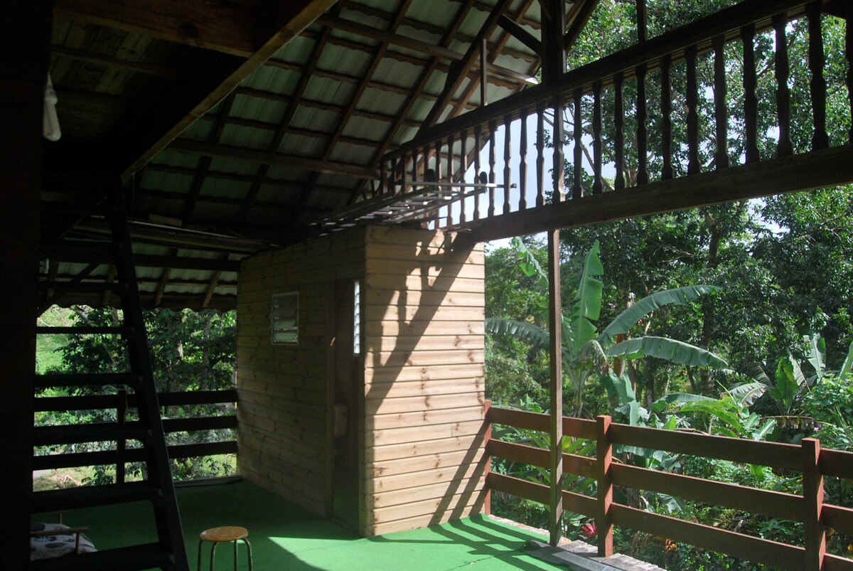 première cabane au monde avec jardin mathématique