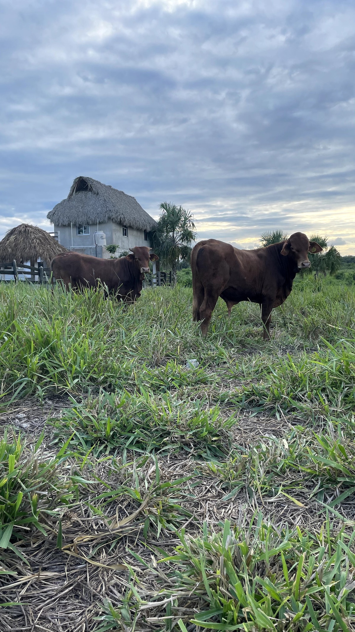 casa en rancho