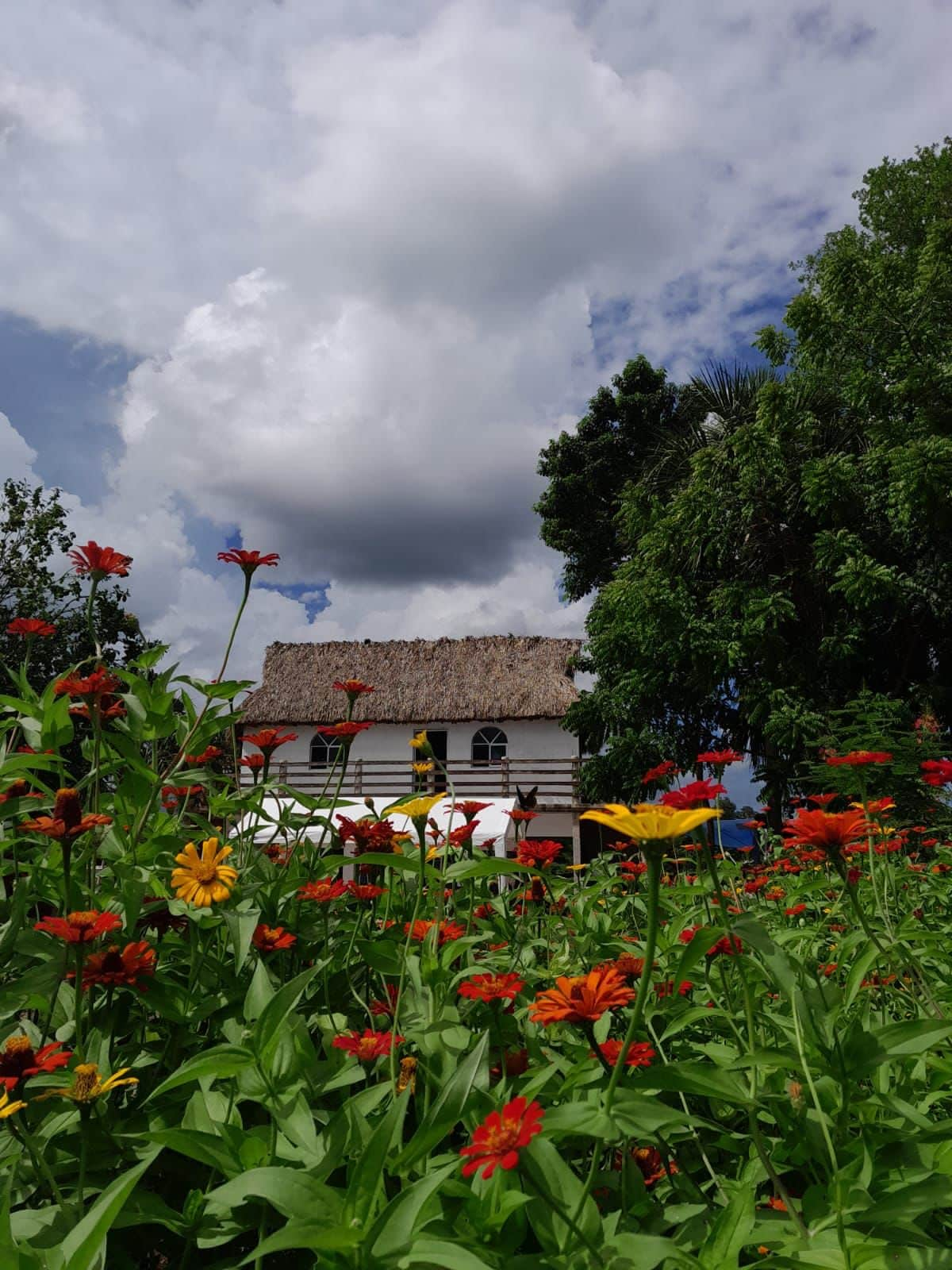 casa en rancho