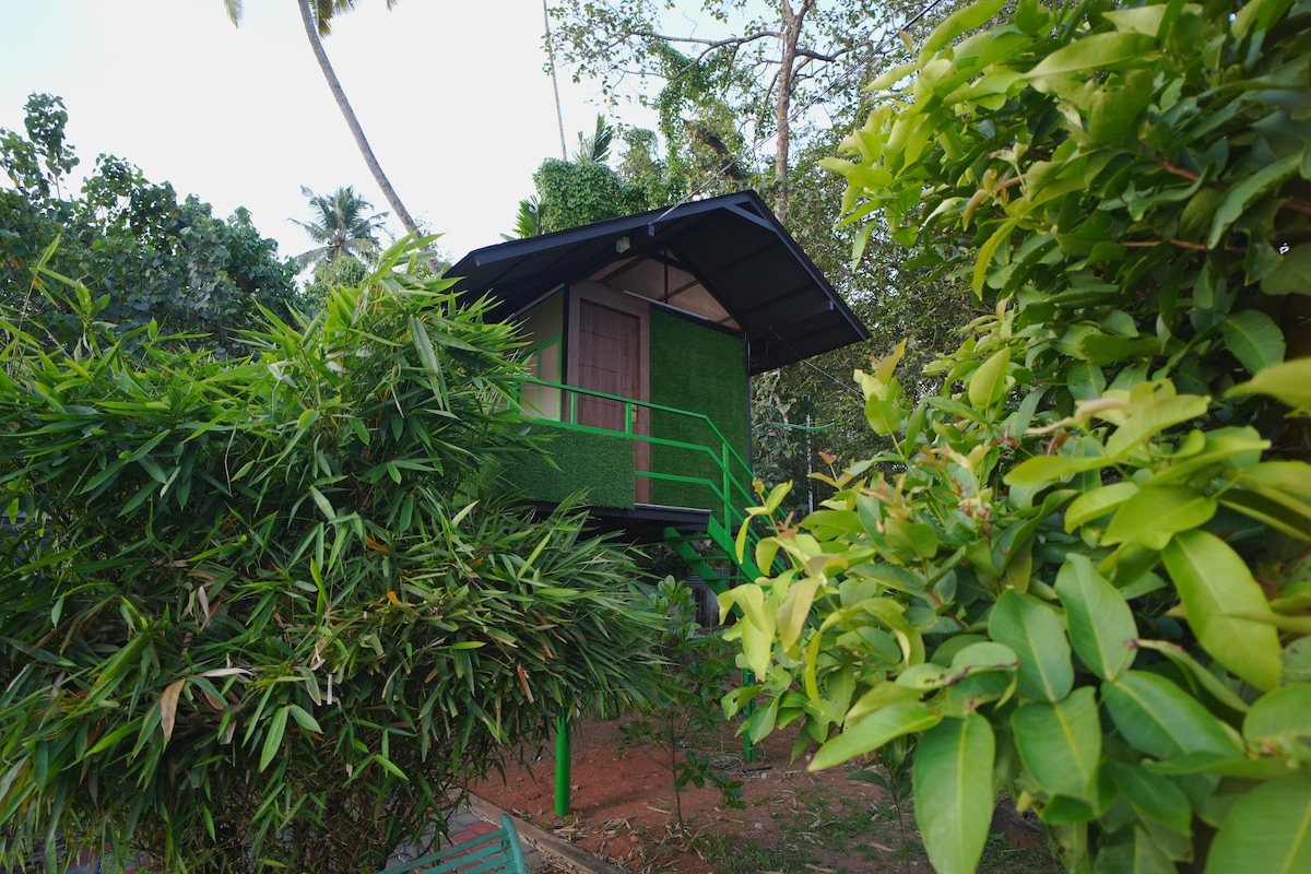 Lil Hut - Mangrove Chendamangalam