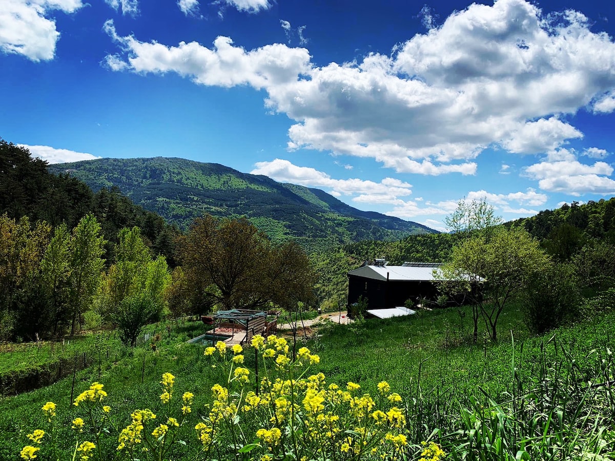 Mountain Houses in a Permaculture Farm - Unique