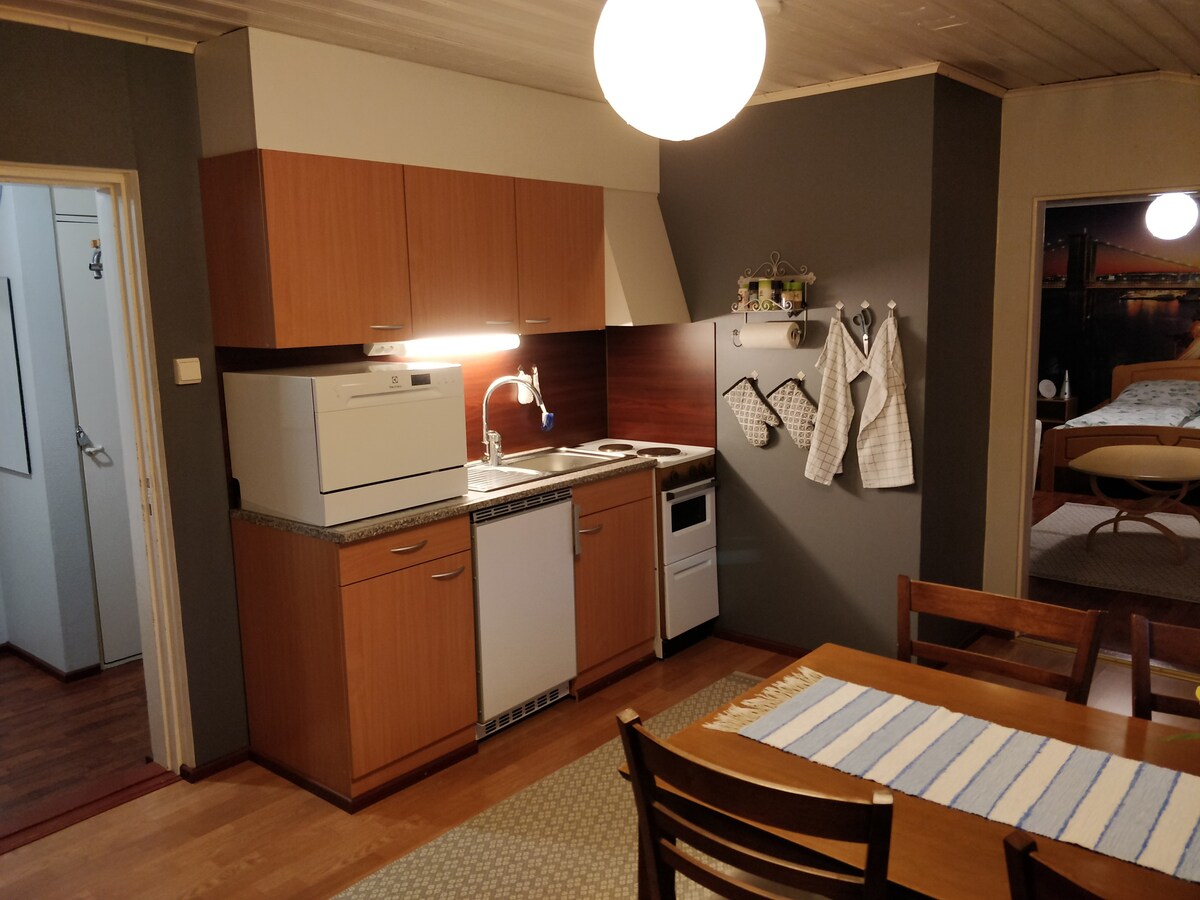舒适宁静的单间公寓，位于一栋小公寓楼内。