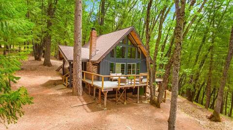 House Hunters Cozy Cabin in CA on 8 acres hot tub