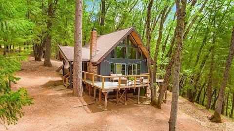 House Hunters Cozy Cabin in CA on 8 acres hot tub