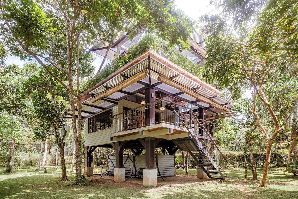 Stunning Treehouse - Balcony & Roof Deck - Views!