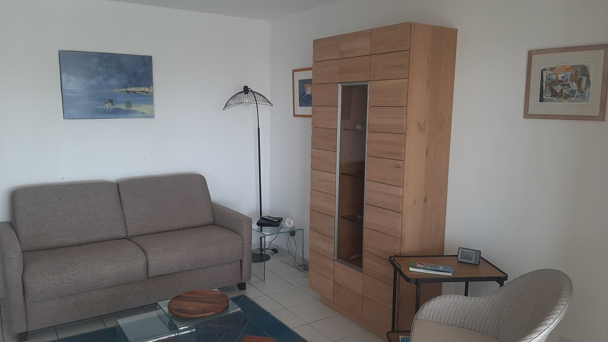 NEW - Appartement & terrasse face Baie (parking)