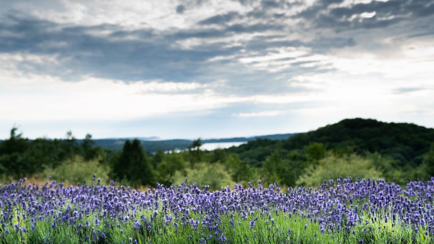 Lake Leelanau的民宿