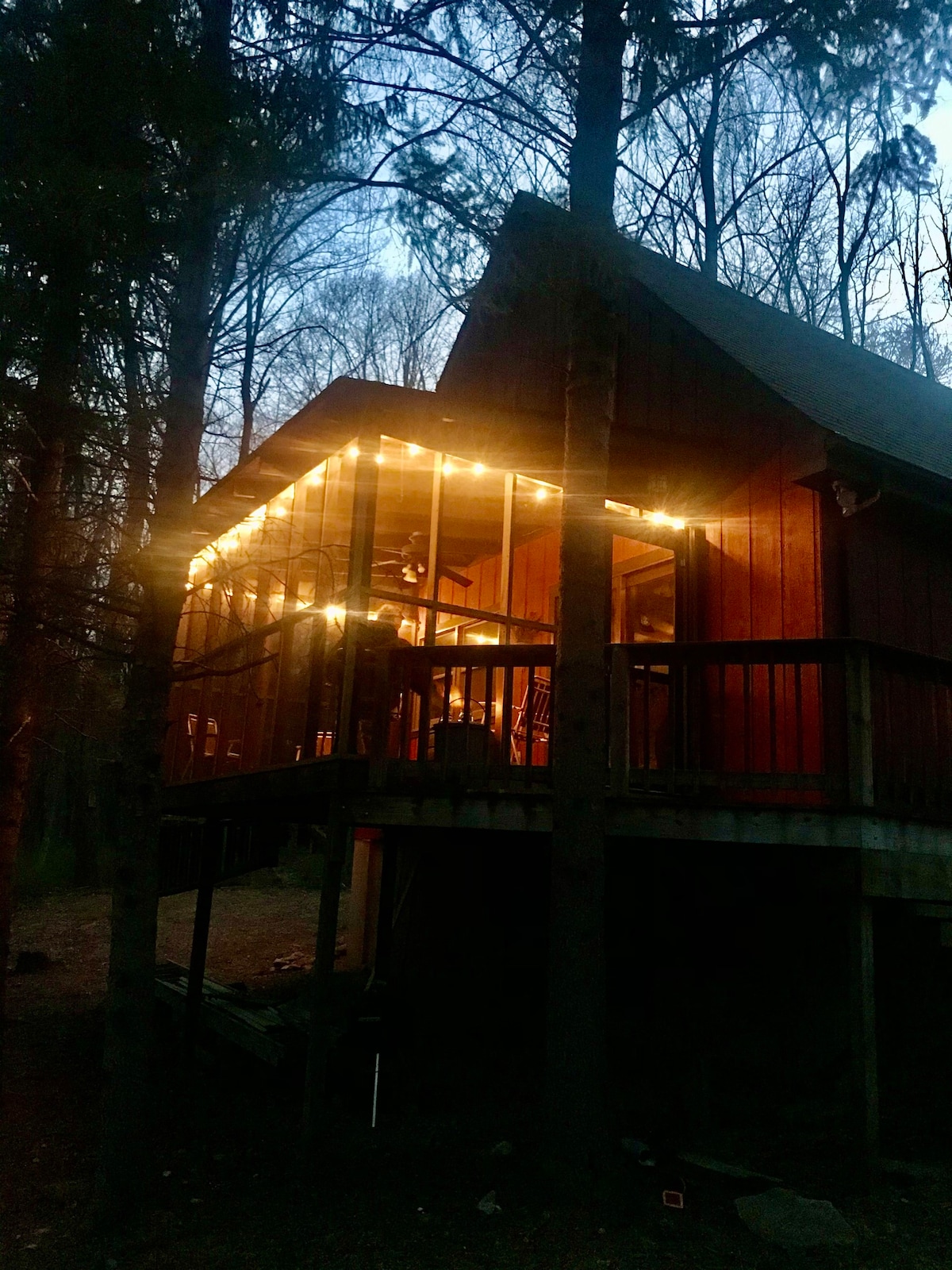 “Little Red Cabin” in the woods