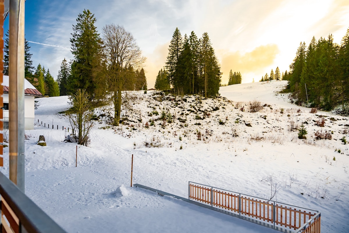 Ferienwohnung Feldberg Schwarzwald