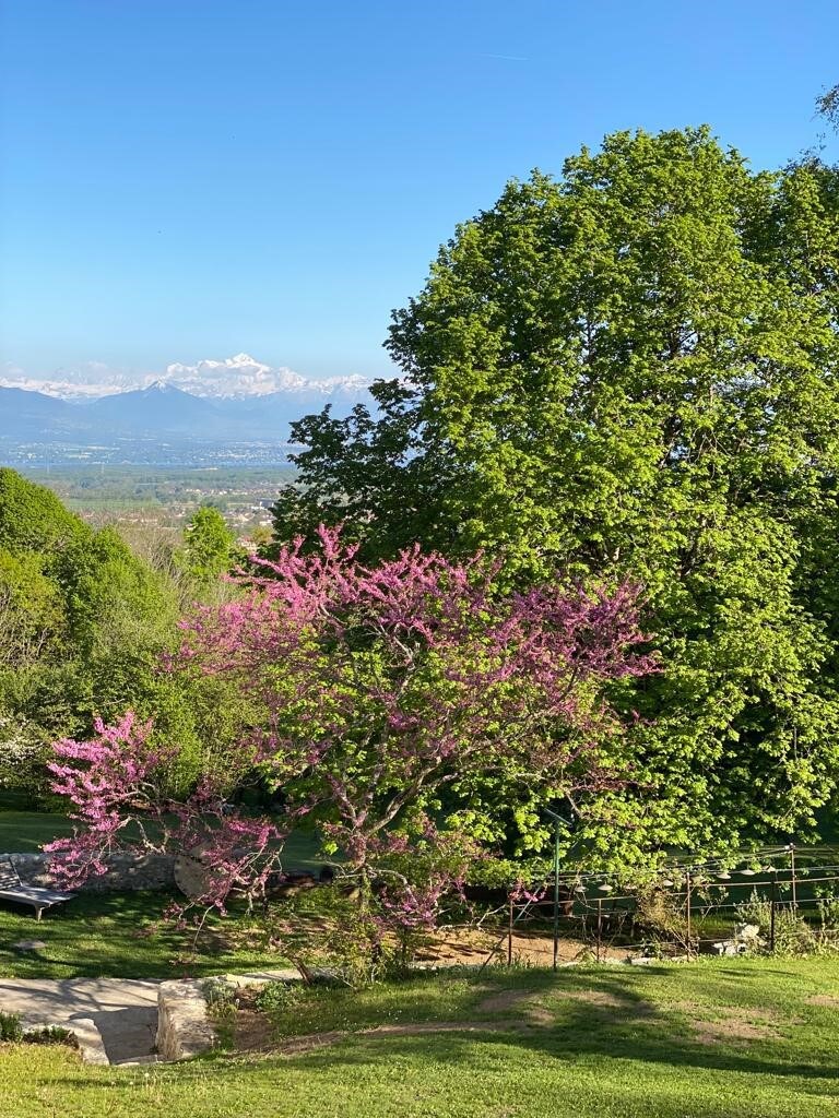 Les Hutins, cocon vue Mont-Blanc, forêt, Genève