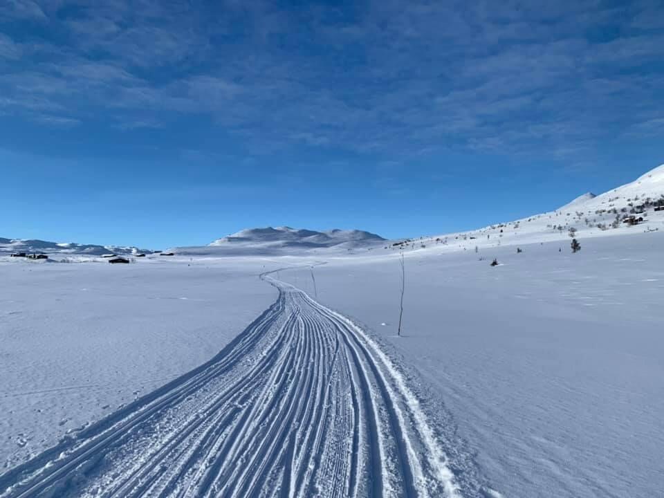 Fjellhytte ved foten av Hardangervidda