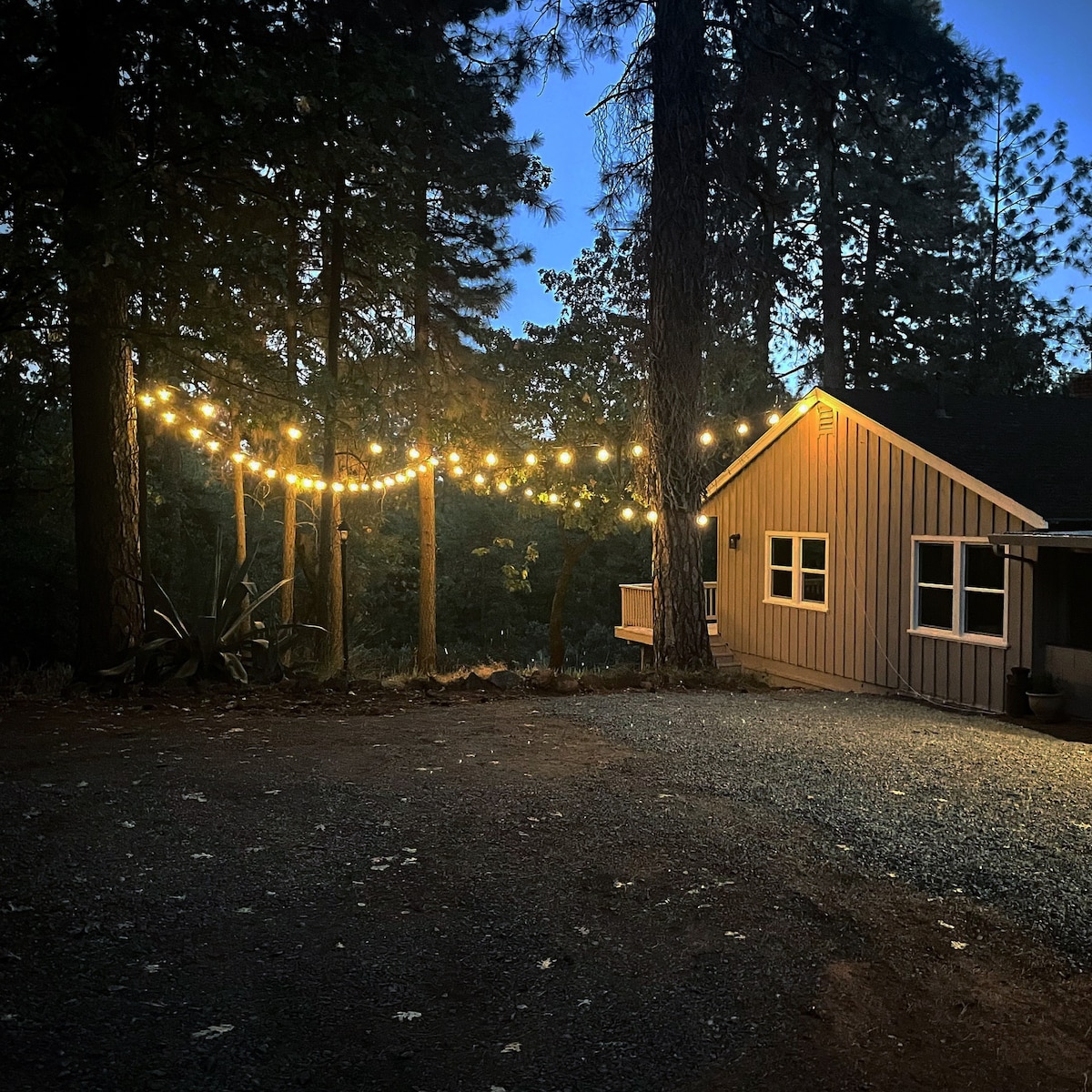 Dog-Friendly, Private Forest | The Timbers Cottage