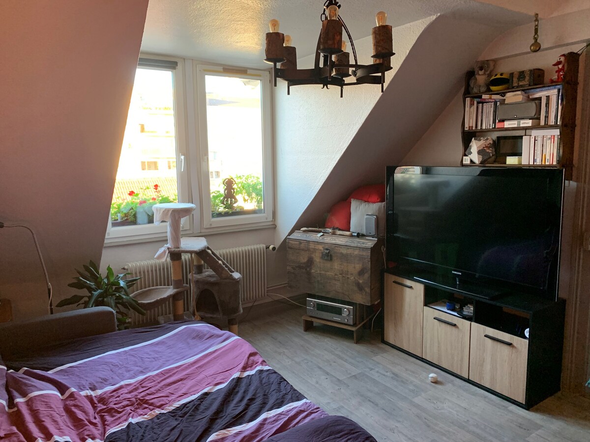 Strasbourg : petite chambre chez l'habitant