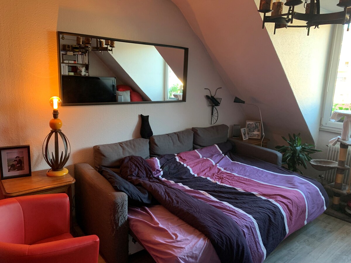 Strasbourg : petite chambre chez l'habitant