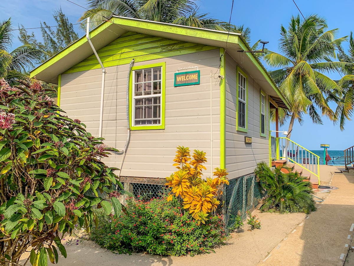 Kiskadee at Sandpiper Beach Cabanas