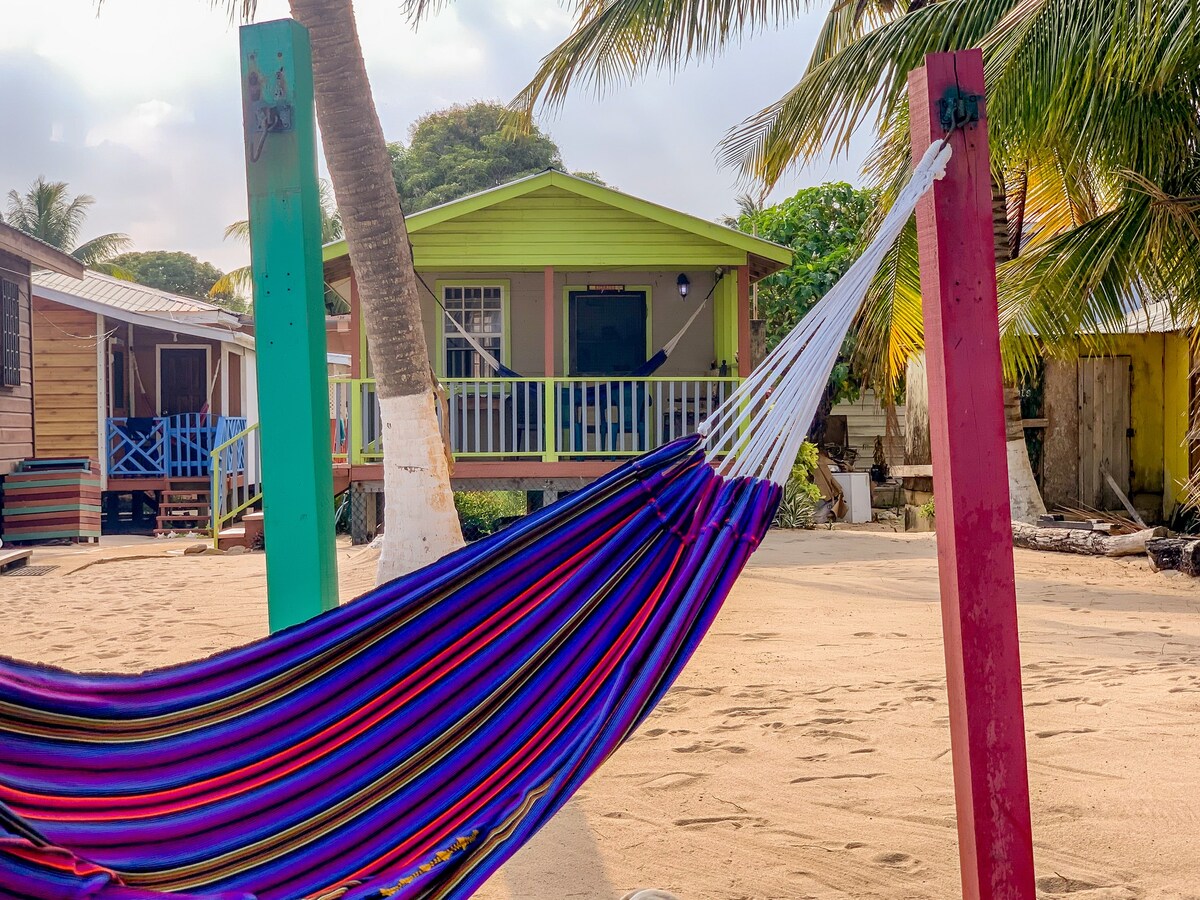 Kiskadee at Sandpiper Beach Cabanas