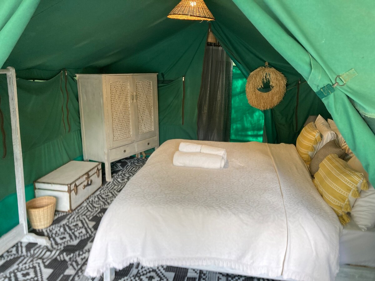 舒适的单床帐篷，带泳池，长颈鹿中心
