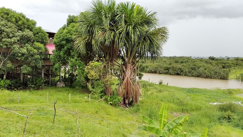 Iquitos, Amazon River and Adventure