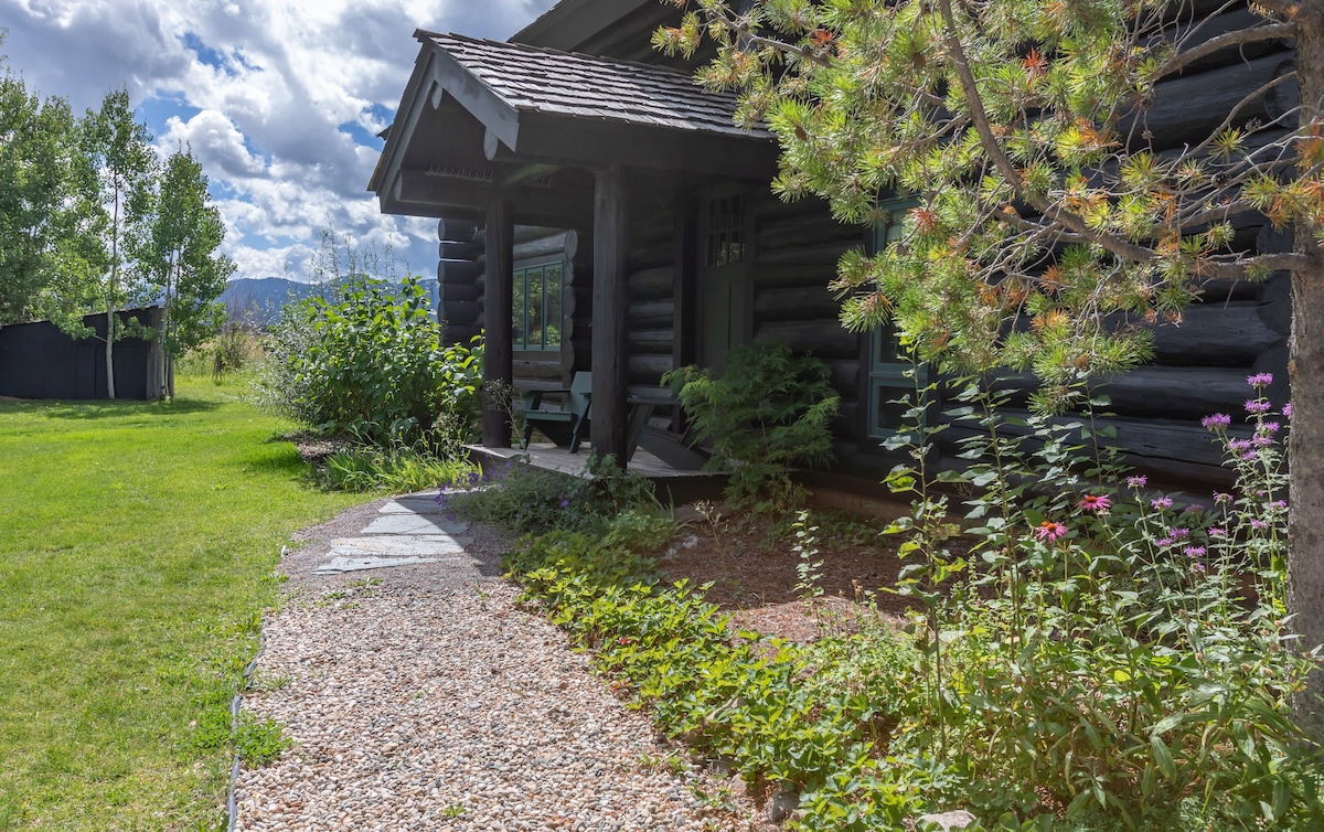 Log Cabin Home in Victor! Magical Mountain Views!