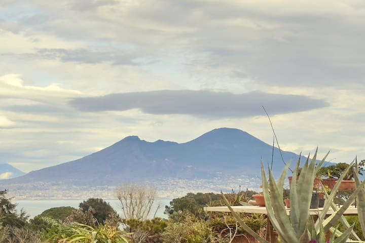 那不勒斯(Napoli)的民宿