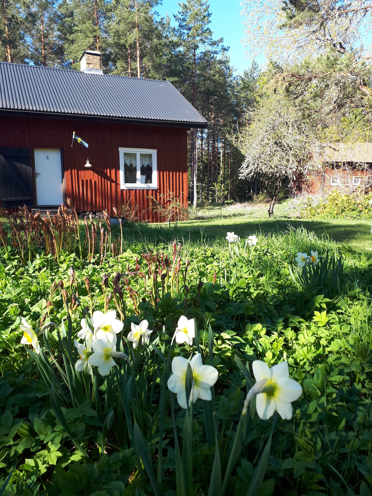 Oasis of peace and quiet in Hjorted