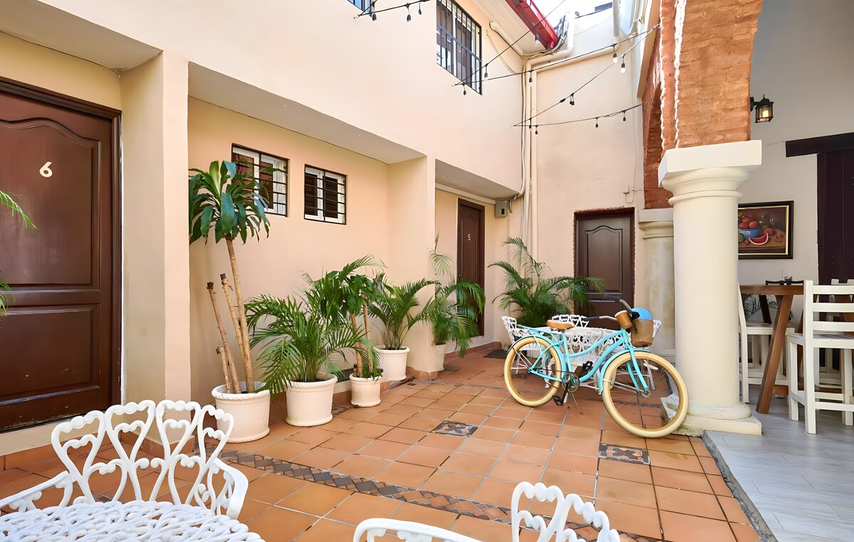 Cozy 1BD in Zona Colonial