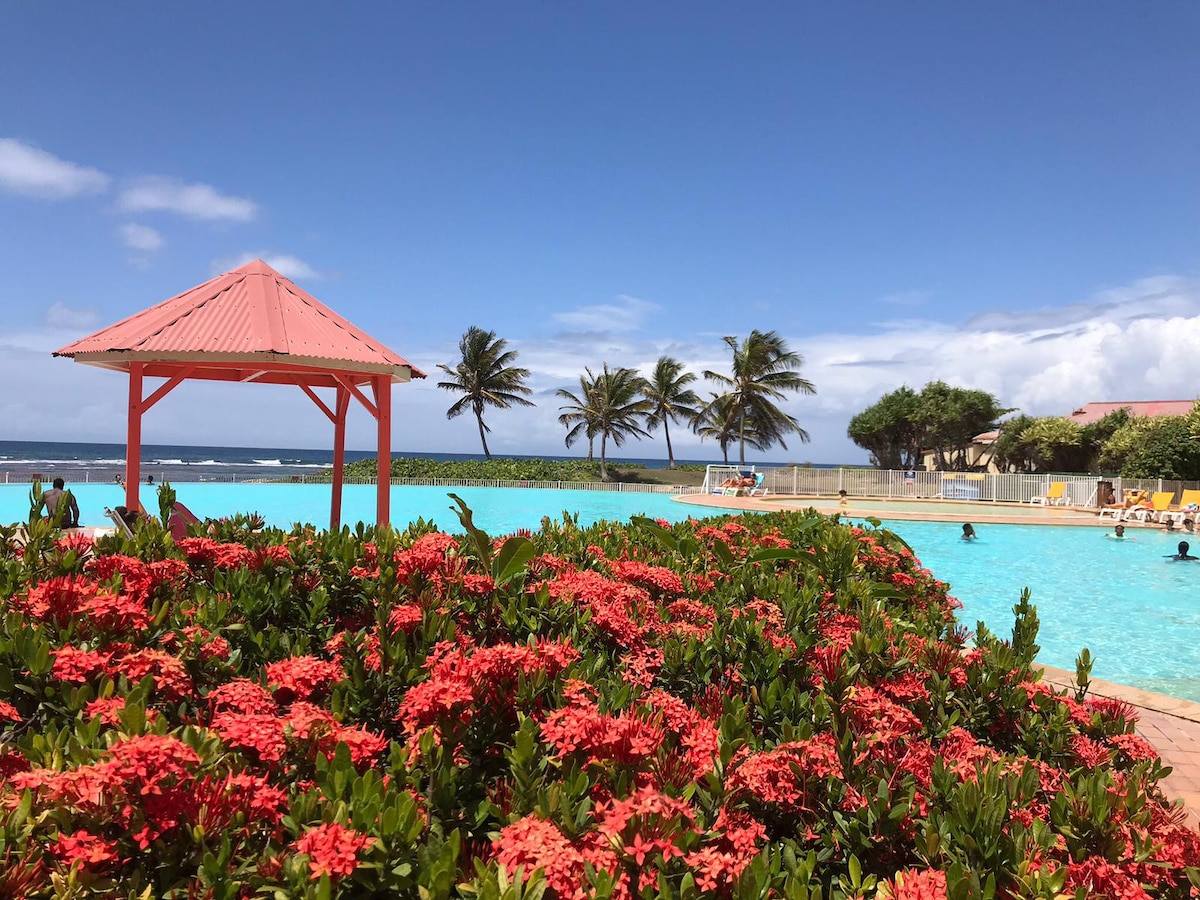 Beau logement, piscine, vue mer