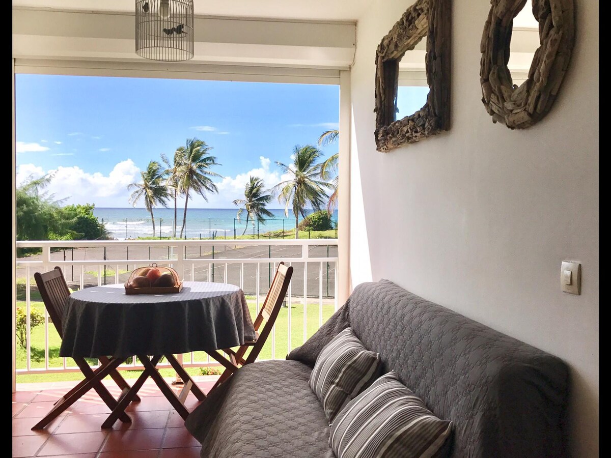 Beau logement, piscine, vue mer