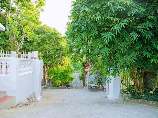 Hoang Long Homestay