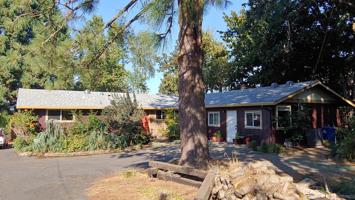 A Cozy 1 Bed/1 Bath Cabin Nestled Among the Trees