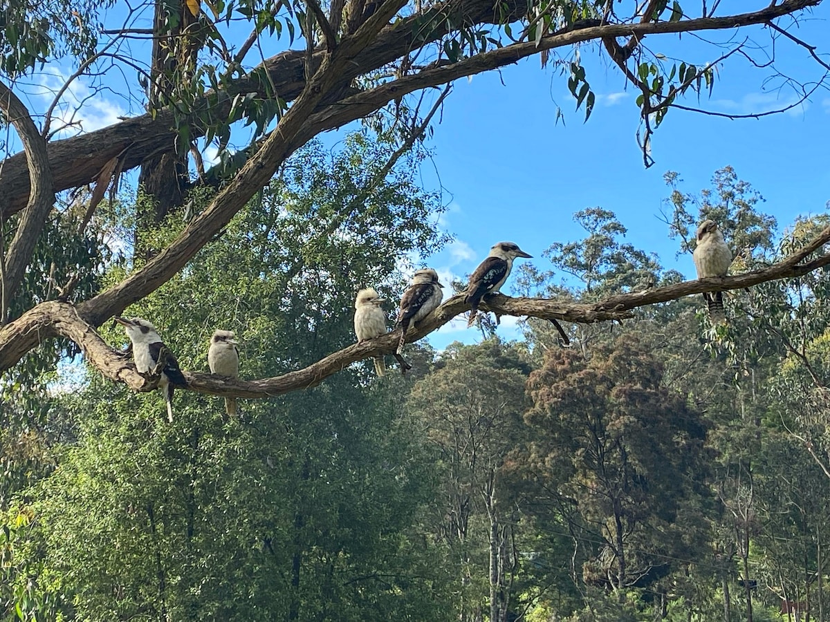 笑Kookaburra小屋-被大自然包围