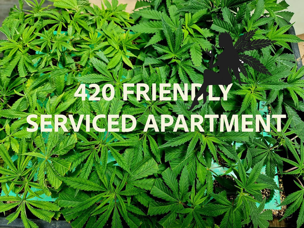 420 Friendly serviced apartment & Cannabis Farm.