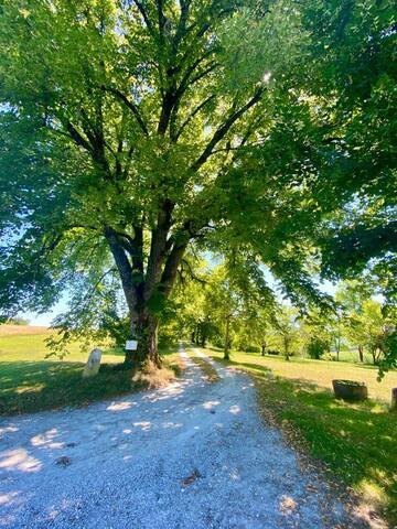 Nanteuil-Auriac-de-Bourzac的民宿