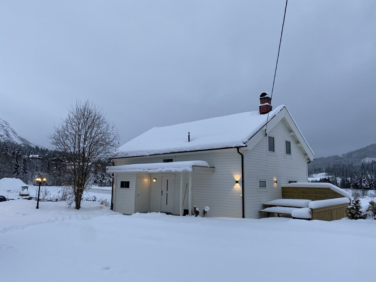 Hytte og Anneks med 20 sengeplasser i Hemsedal