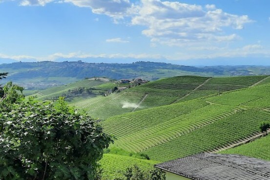 Casa in campagna a Barbaresco per 8 persone