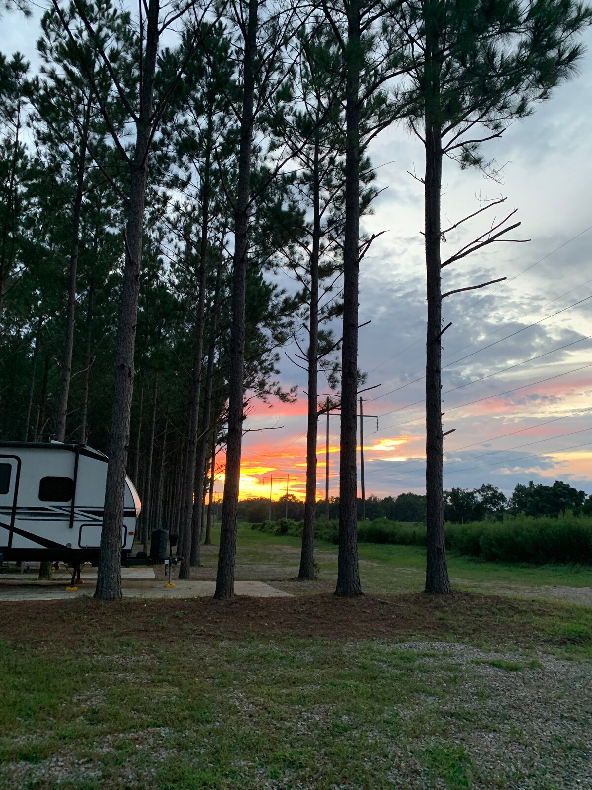 Freedom In the Pines - Comfy Camper