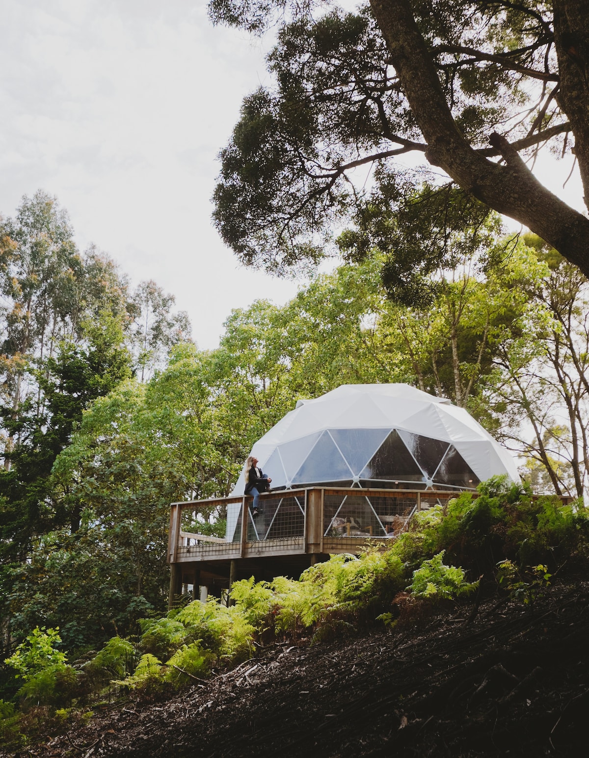 Gleneagle Tasmania | Wollemi Rise Luxury Dome
