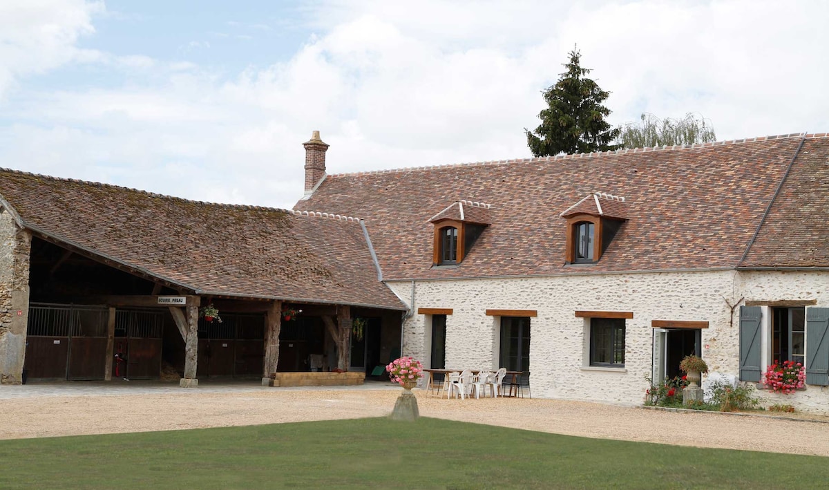 Chambre d'hôtes au cœur des chevaux