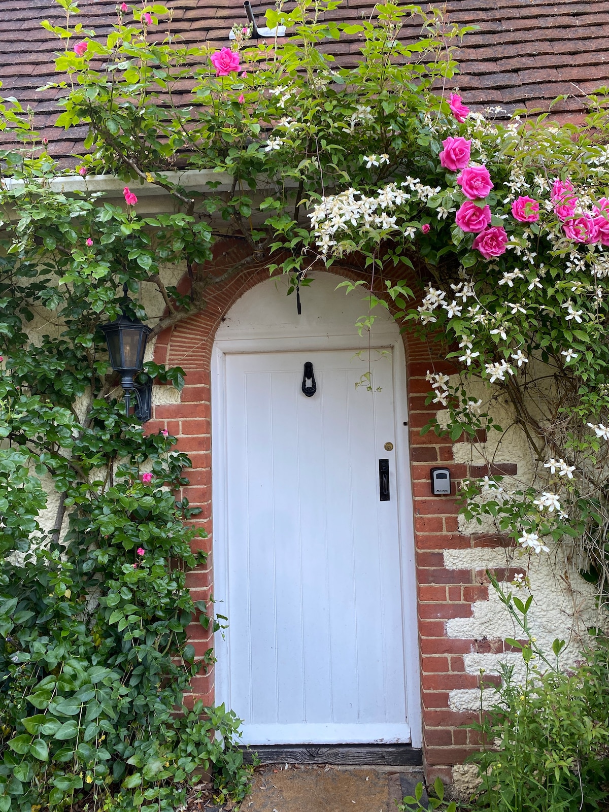 Surrey Hills Country Cottage