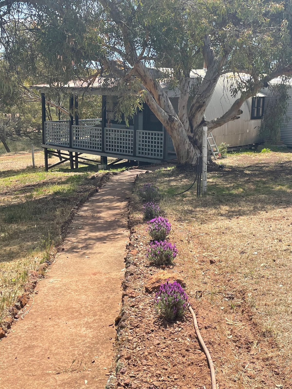 Utopia Farmstay ，令人愉悦的Nissen Hut。